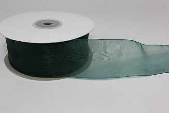 /tmp/v8_Lr0IIr_650c.IMG_2601