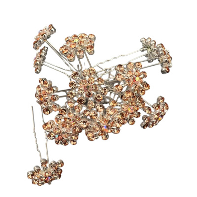 b8237dda-cf29-4336-84b7-efa8dc259007