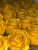 /tmp/v8_Lr0IIr_3e8c.WhatsApp Image 2021-03-05 at 14.28.05
