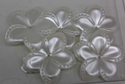 /tmp/v8_Lr0IIr_a14d.IMG_1718