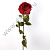 Роза голландская 14 см 92 см 1 шт. красная