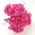 /tmp/v8_Lr0IIr_3885.К92-4 peach /tmp/v8_Lr0IIr_3885.К92-4 peach