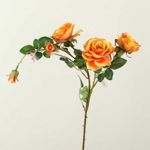 /tmp/v8_Lr0IIr_7dbc.А1-45