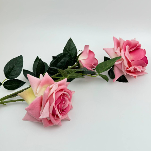 /tmp/v8_Lr0IIr_39d3.7c3a710d-72b3-40b5-ad0f-c43c32322a98