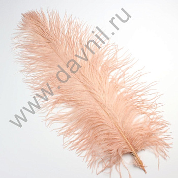 /tmp/v8_Lr0IIr_4ae9.А45-2-21 (2)