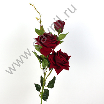 /tmp/v8_Lr0IIr_37c7.А1-48 бордовый
