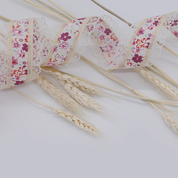 /tmp/v8_Lr0IIr_5c73.249