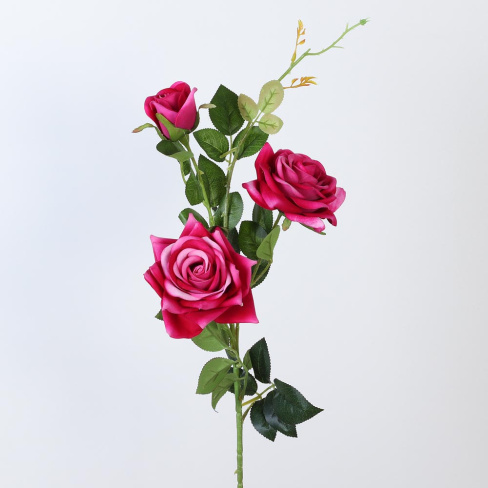 /tmp/v8_Lr0IIr_7dd6.IMG_4162