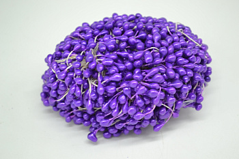 v8_Lr0IIr_1b0d.DSC_0018