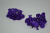 /tmp/v8_Lr0IIr_7492.DSC_0014
