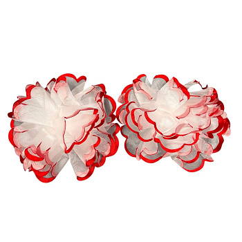 photo_6113975230092397307_y