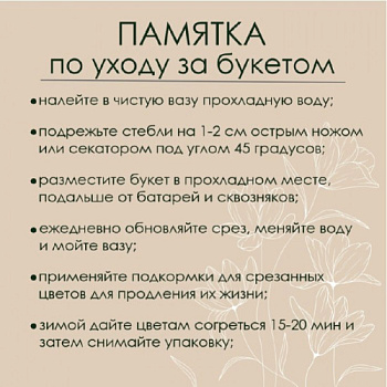 554-550x550