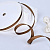 3/8"(9mm)Grosgrain ribbon 847 репсовая лента 23 ярда коричневая