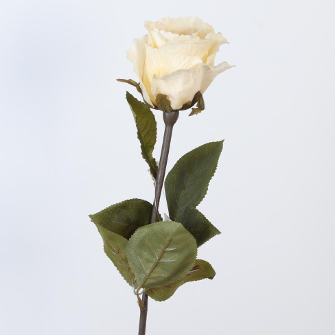 /tmp/v8_Lr0IIr_7da9.А1-18 айвори