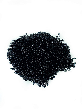 /tmp/v8_Lr0IIr_1af1.photo1697970763 (1)