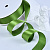 1"(25mm)Double Face Satin Ribbon 548 двухсторонняя сатиновая лента 10 ярдов оливковая
