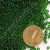 /tmp/v8_Lr0IIr_4688.8-0-7В /tmp/v8_Lr0IIr_4688.8-0-7В
