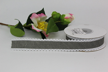 /tmp/v8_Lr0IIr_6307.IMG_2764