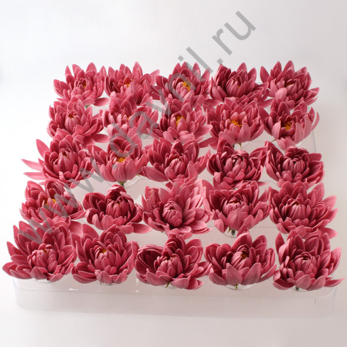 /tmp/v8_Lr0IIr_1822.А2-8-211