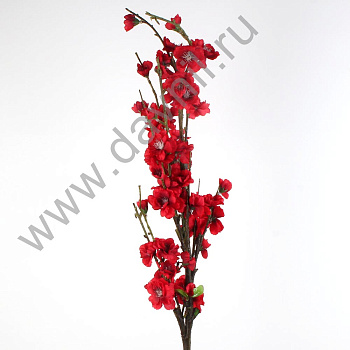 /tmp/v8_Lr0IIr_3fdb.А1-12 (2)