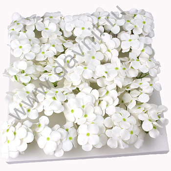 v8_Lr0IIr_1765.А2-12-24